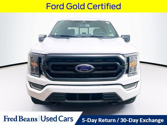 FORD F-150 XLT - 2