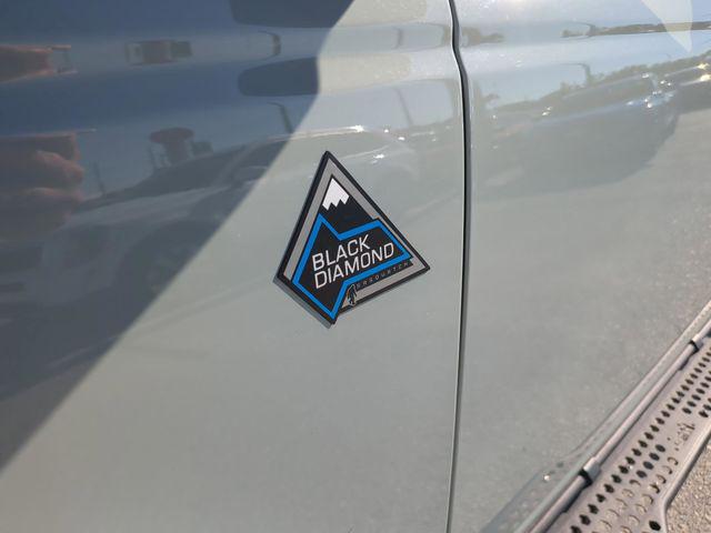FORD BRONCO BLACK DIAMOND - 6