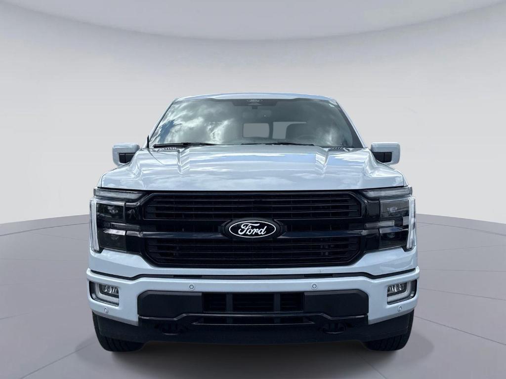 FORD F-150 PLATINUM - 9