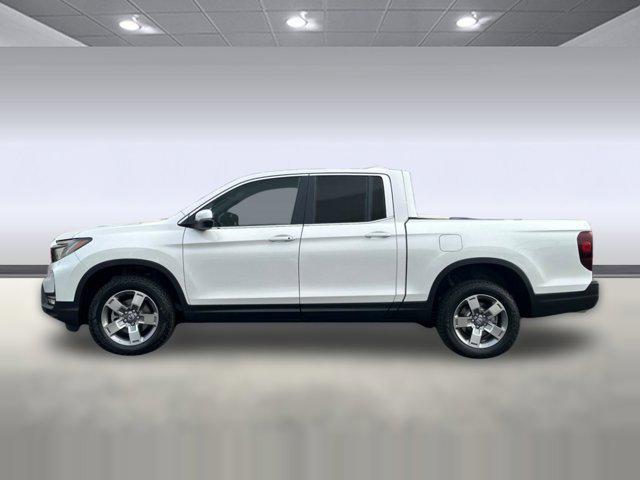 2026 Honda RIDGELINE RTL 照片 2