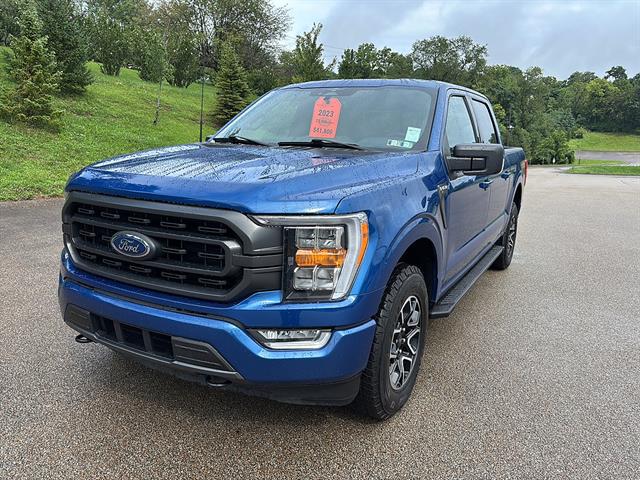 2023 FORD F-150 XLT 照片 8
