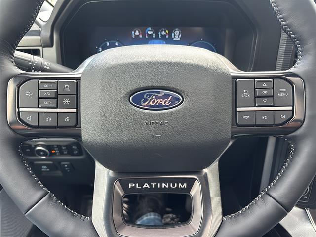2026 FORD F-150 PLATINUM 缩略图 25