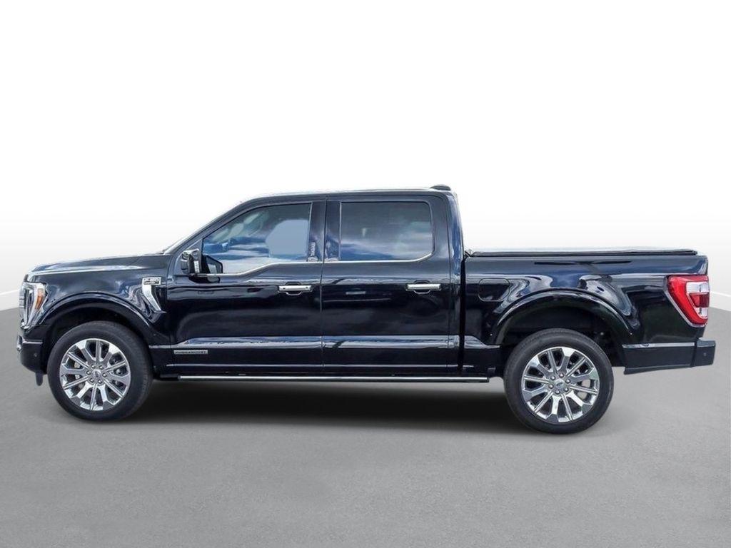 FORD F-150 LIMITED - 5