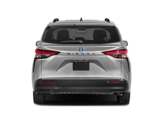 2024 Toyota SIENNA XLE 照片 5