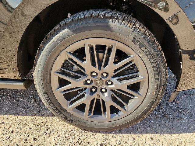 2027 FORD EXPEDITION PLATINUM 照片 9