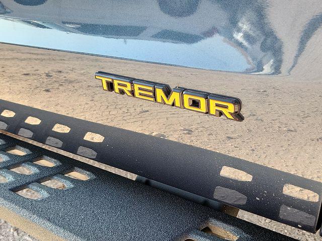 2027 FORD EXPEDITION TREMOR 缩略图 10