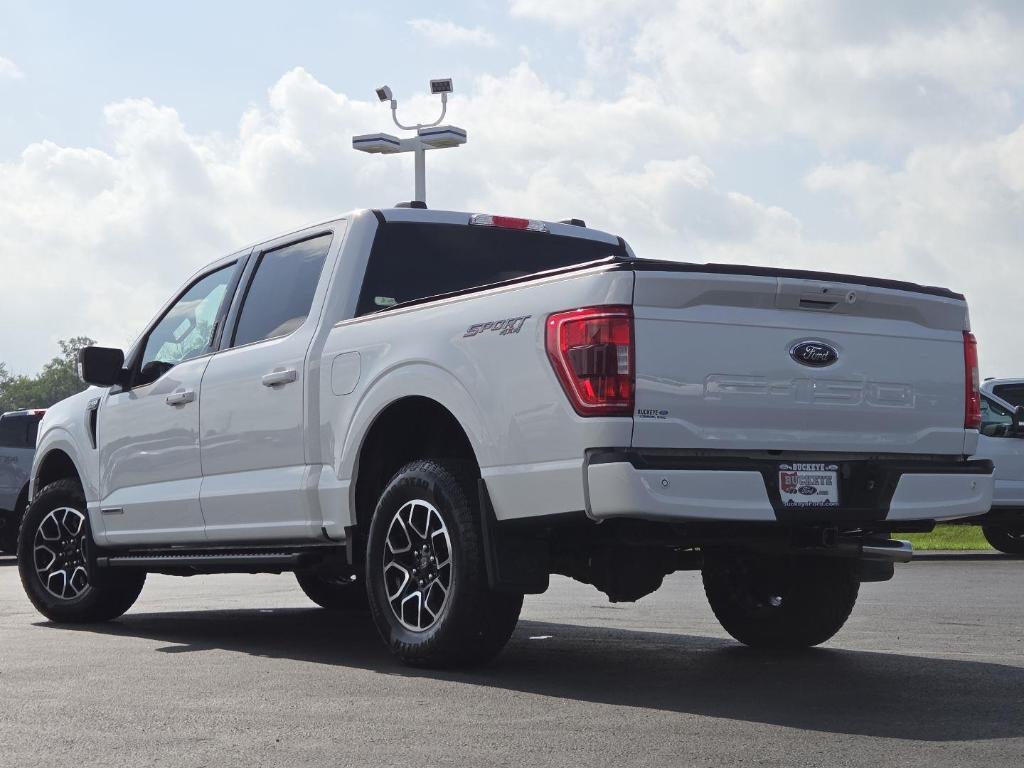 2023 FORD F-150 XLT 缩略图 13