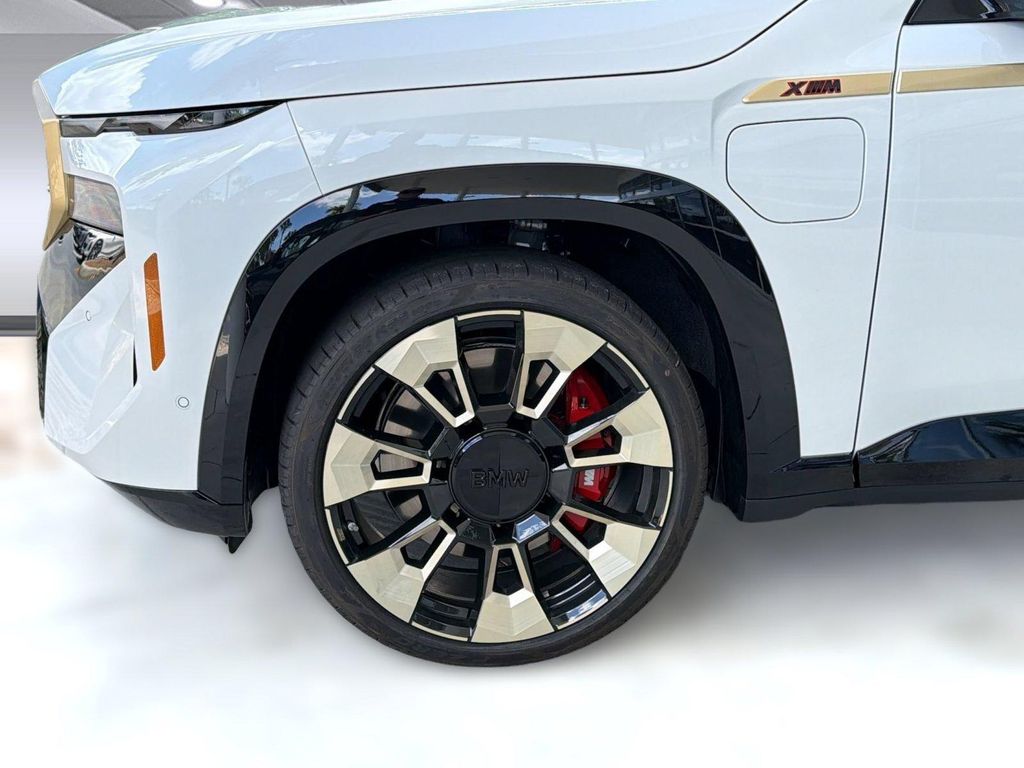2026 BMW XM LABEL 照片 12