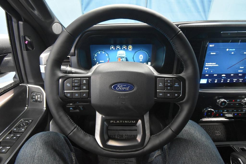 FORD F-150 PLATINUM - 9