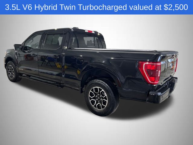 FORD F-150 XLT - 3