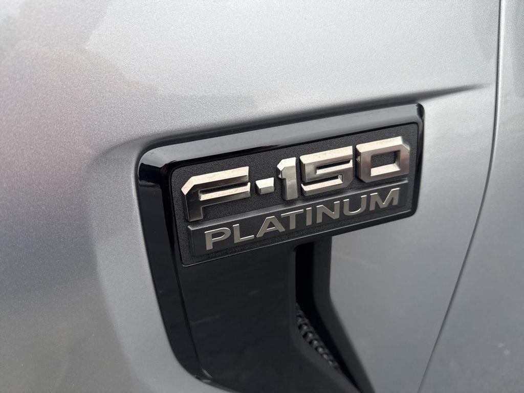 FORD F-150 PLATINUM - 10