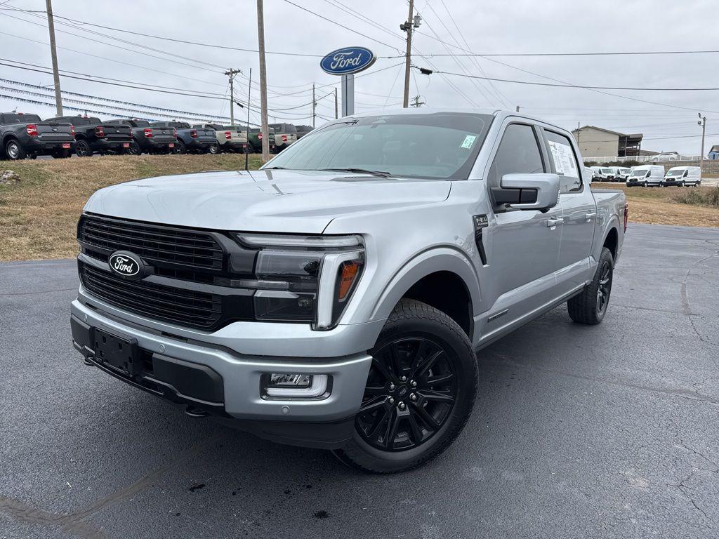 FORD F-150 PLATINUM - 1
