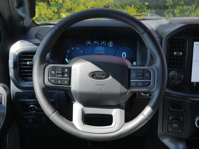 FORD F-150 LARIAT - 6