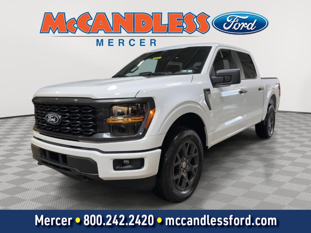 FORD F-150 STX - 1