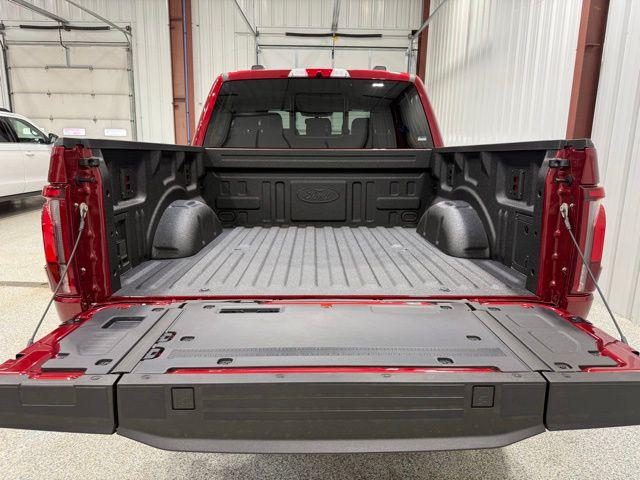 FORD F-150 PLATINUM - 9