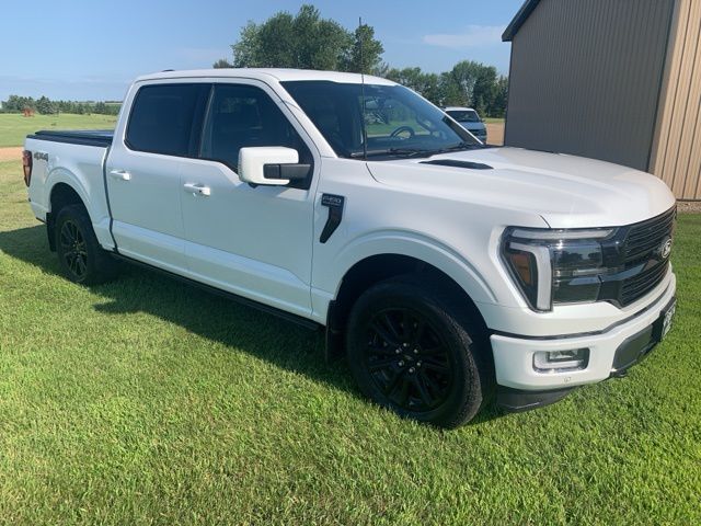 FORD F-150 PLATINUM - 1