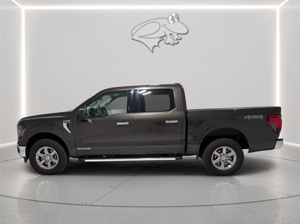 2024 FORD F-150 XLT 照片 8