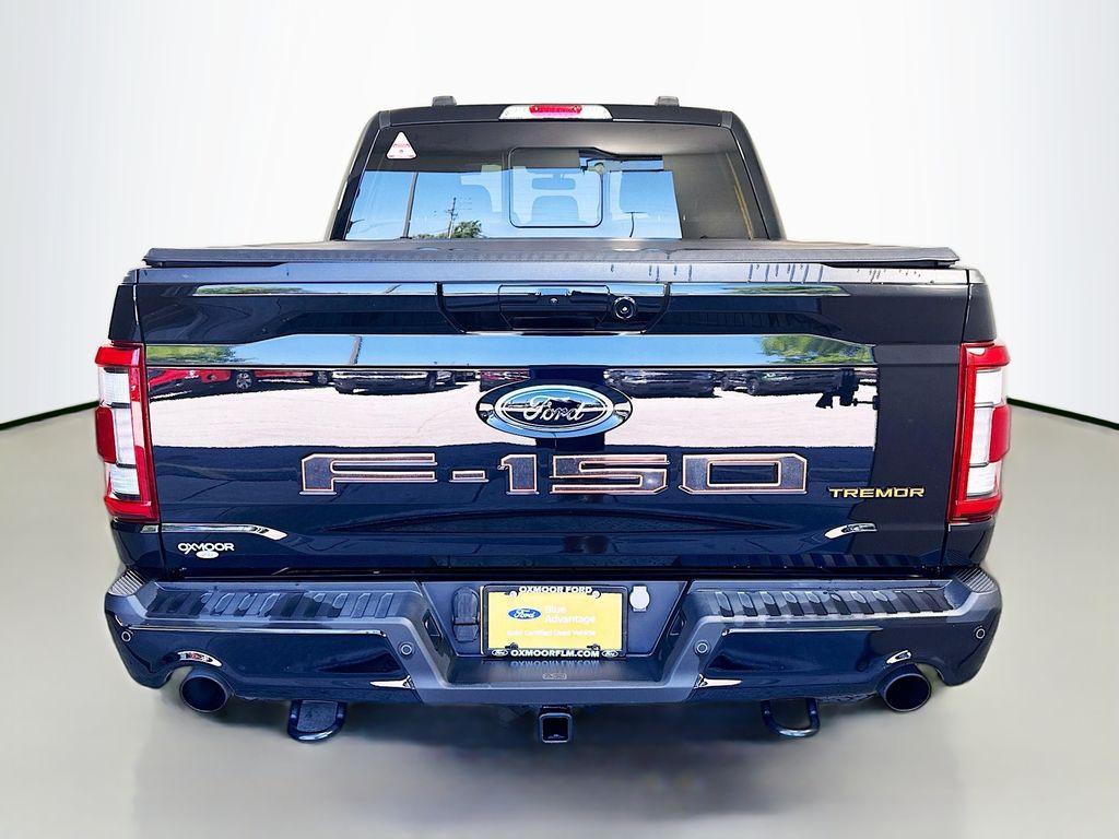 FORD F-150 TREMOR - 6