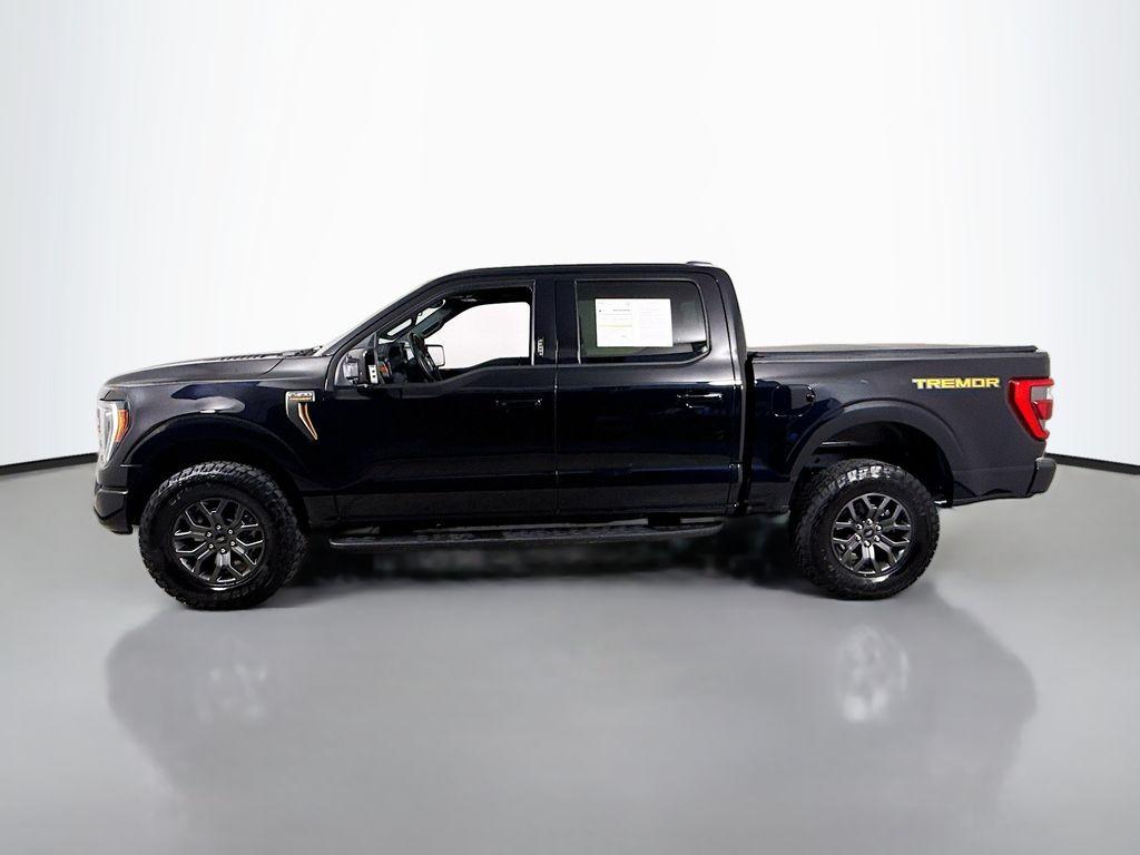FORD F-150 TREMOR - 4