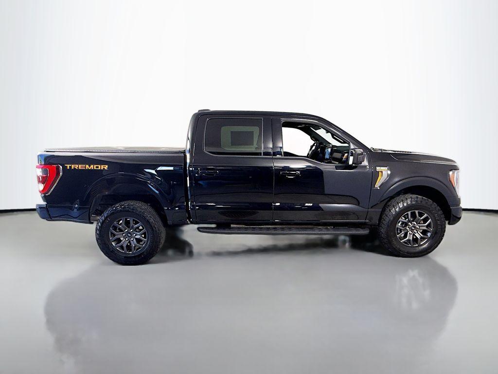 FORD F-150 TREMOR - 8