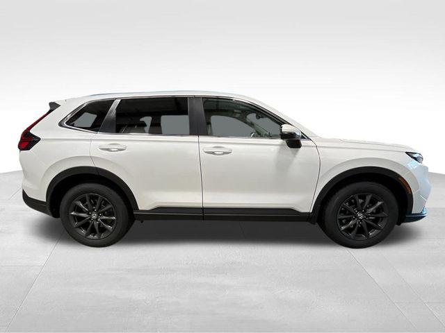 HONDA CR-V EX-L AWD - 8