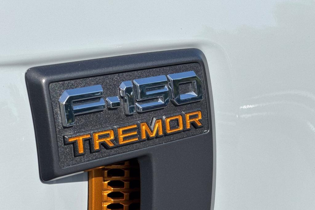 FORD F-150 TREMOR - 8