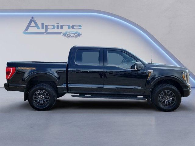 FORD F-150 TREMOR - 6