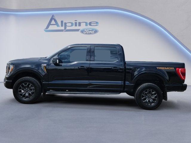 FORD F-150 TREMOR - 2