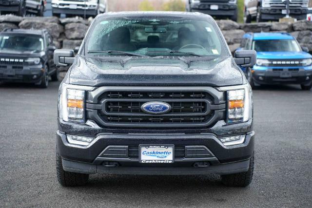 FORD F-150 XLT - 2