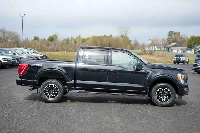 FORD F-150 XLT - 4