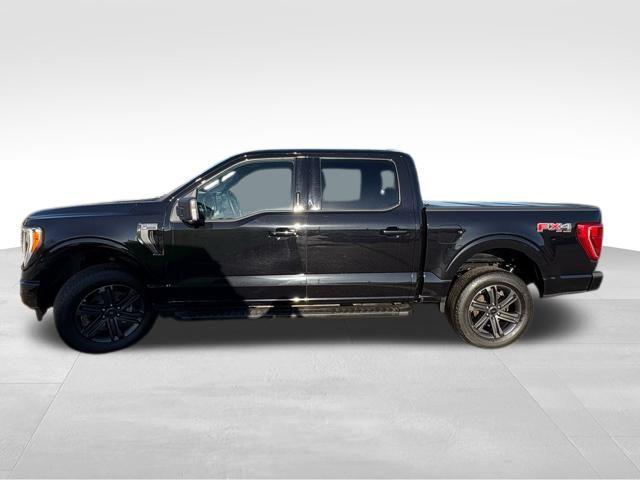 FORD F-150 XLT - 7