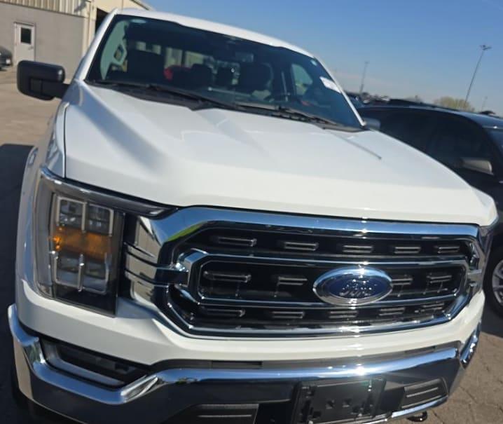FORD F-150 XLT - 2
