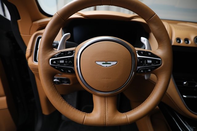 2021 Aston Martin DBX SUV 照片 17