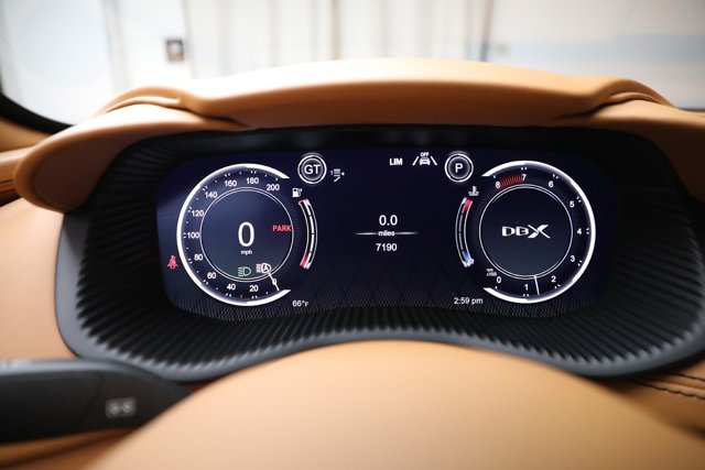 2021 Aston Martin DBX SUV 照片 18
