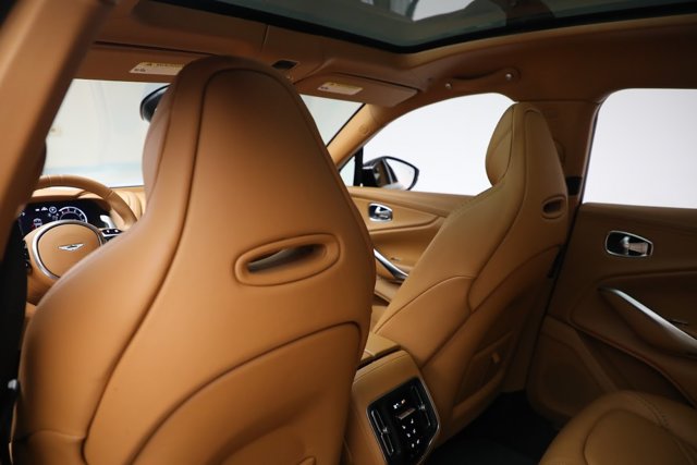 2021 Aston Martin DBX SUV 照片 21
