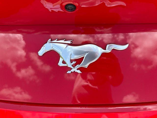 صورة مصغرة 13 لـ 2026 FORD MUSTANG ECOBOOST PREMIUM