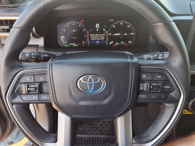 2025 Toyota 4RUNNER TRD OFF ROAD 缩略图 20
