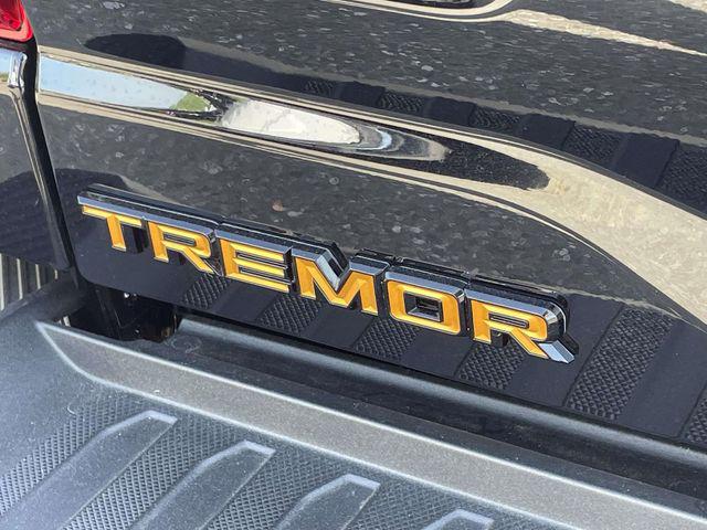 FORD F-150 TREMOR - 8