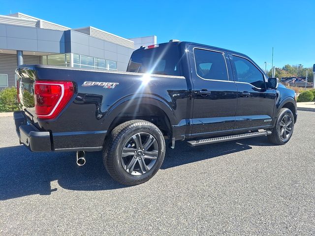 FORD F-150 XLT - 6