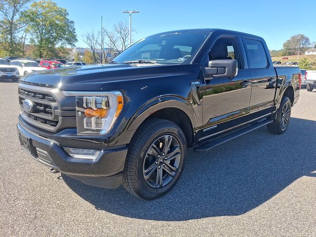 FORD F-150 XLT - 3