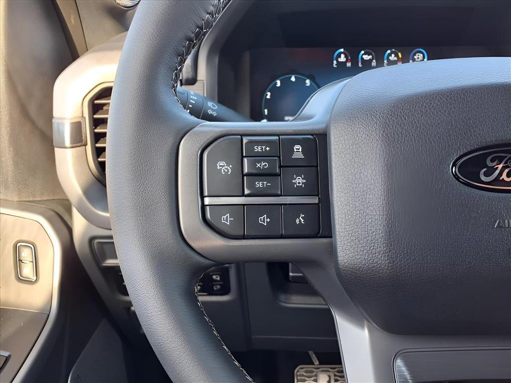 صورة مصغرة 28 لـ 2025 FORD F-150 XLT