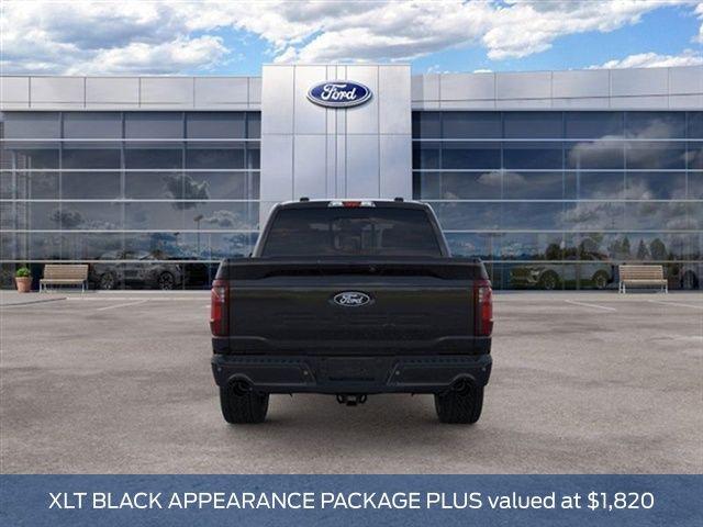 2025 FORD F-150 XLT 照片 9