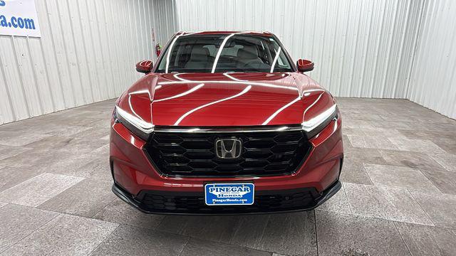 2023 Honda CR-V EX-L 2WD 照片 9