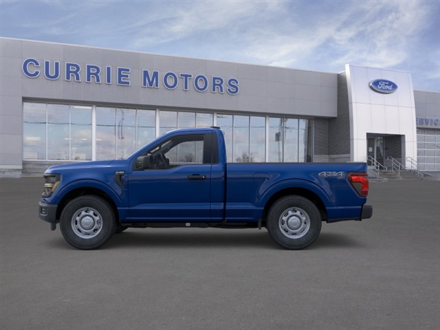 FORD F-150 XL - 3