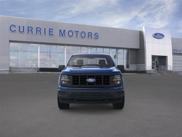 FORD F-150 XL - 6