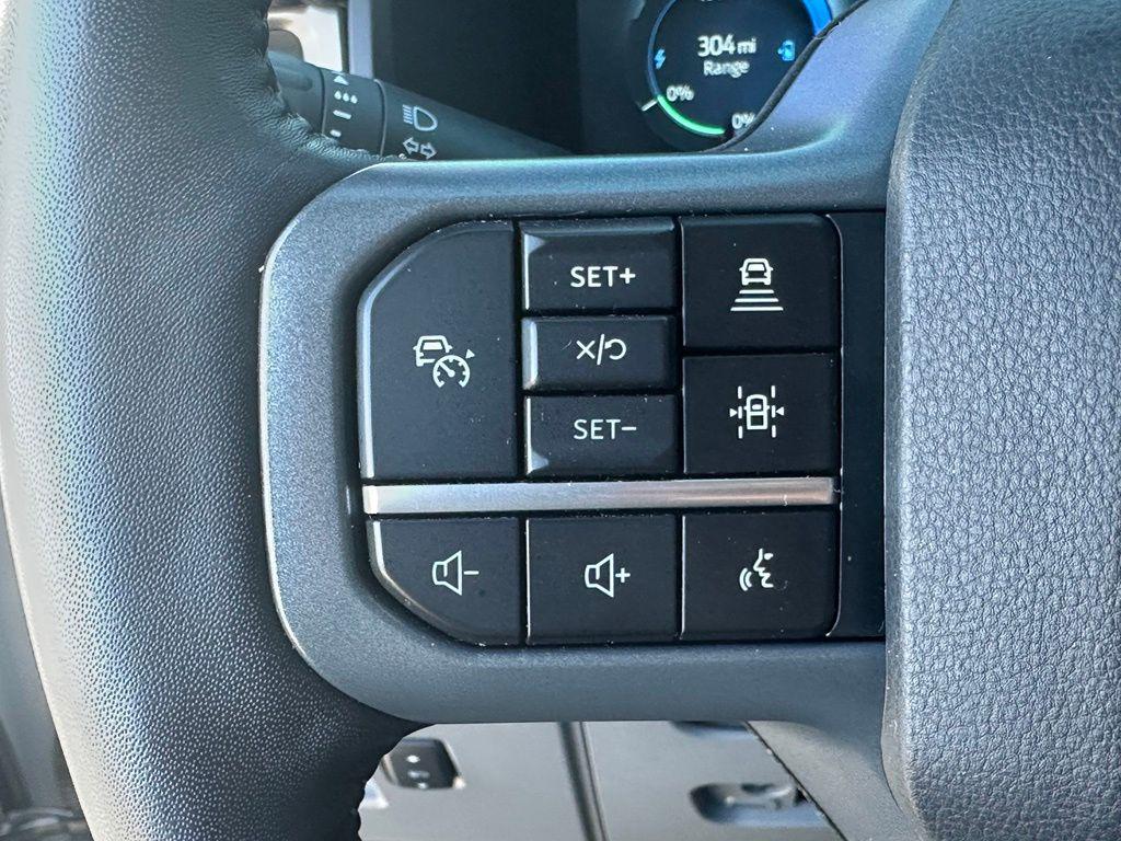 2024 FORD F-150 LIGHTNING FLASH 缩略图 32