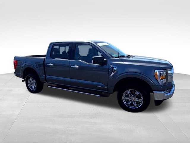 صورة 2 لـ 2023 FORD F-150 XLT