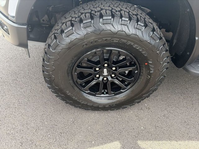 FORD F-150 RAPTOR - 10