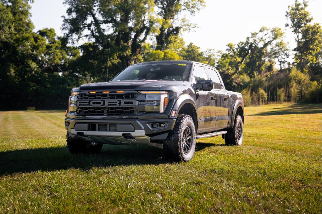 FORD F-150 RAPTOR - 8