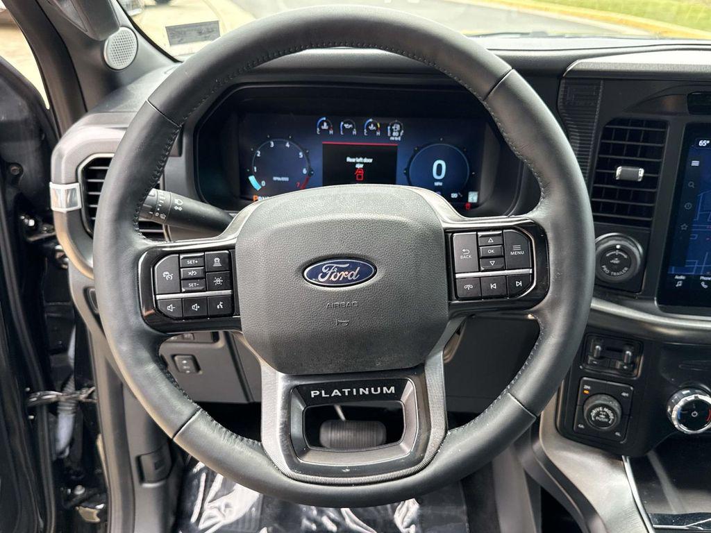 2024 FORD F-150 PLATINUM 缩略图 32